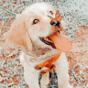 Meet your Posher, Kyleigh